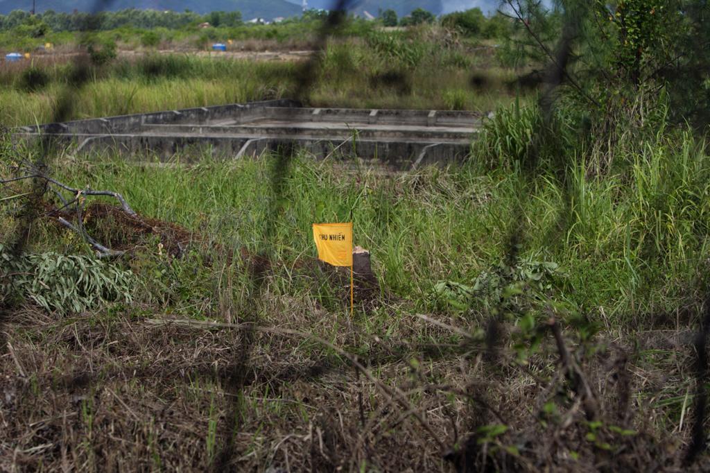 A yellow flag marks a field contaminated with dioxin near Danang airport