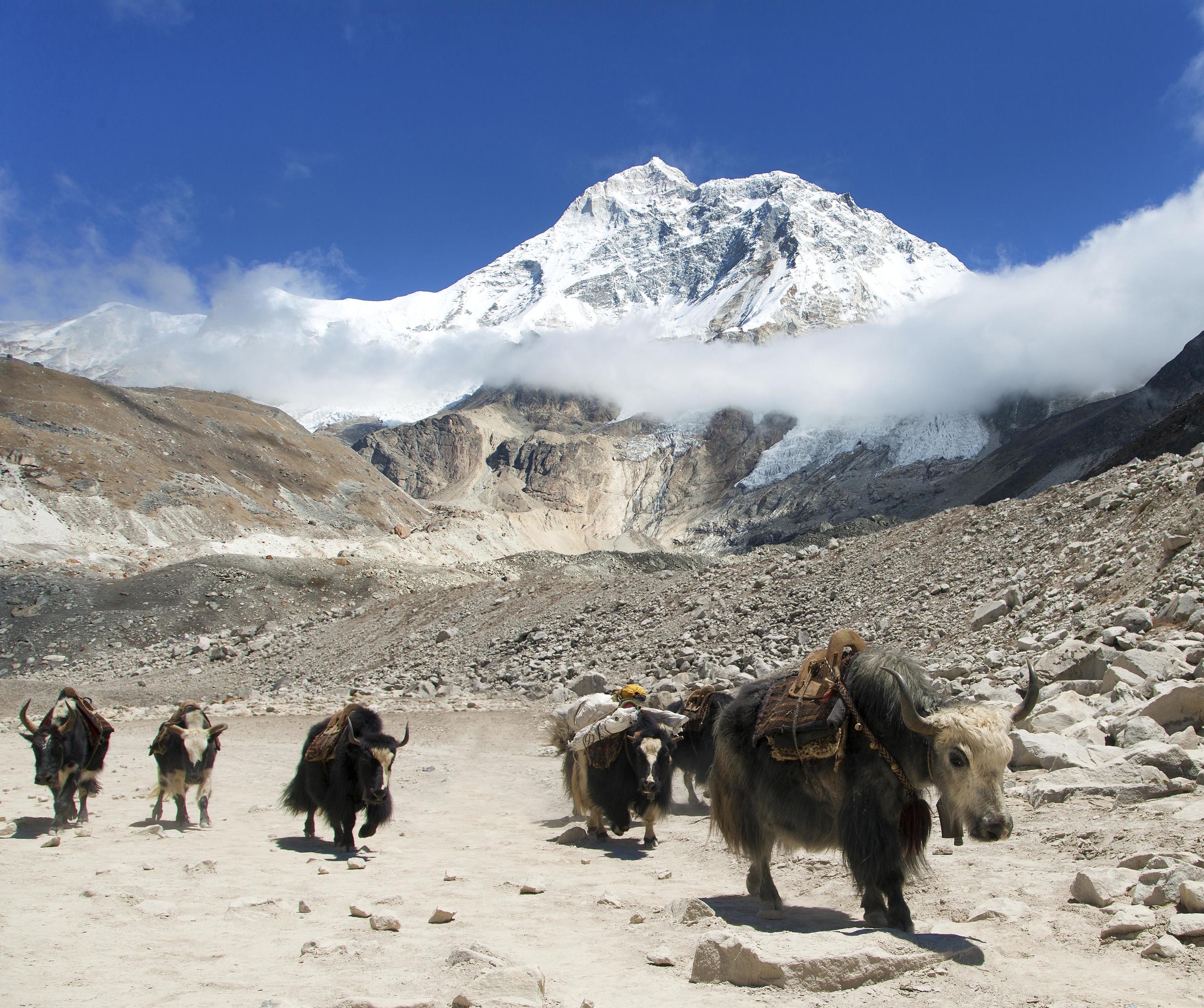 Mount Makalu and glacial lake near Mt Makalu base camp.