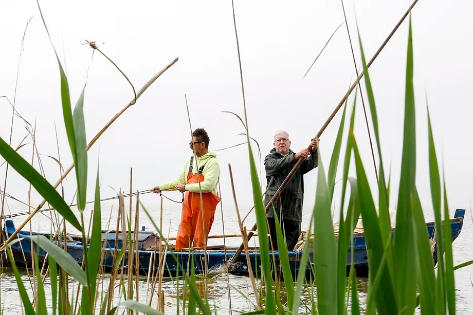 In La Albufera with Hilario Anacleto, one of the farmers who work with Molino Roca.