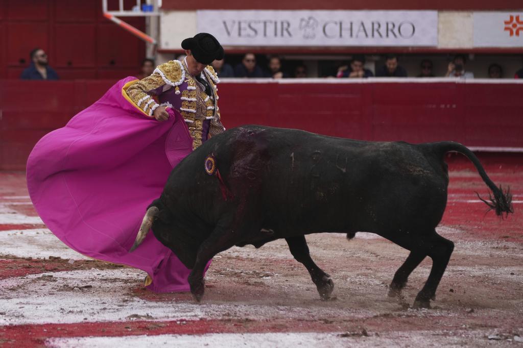 Mexican bullfighter Diego Silveti.