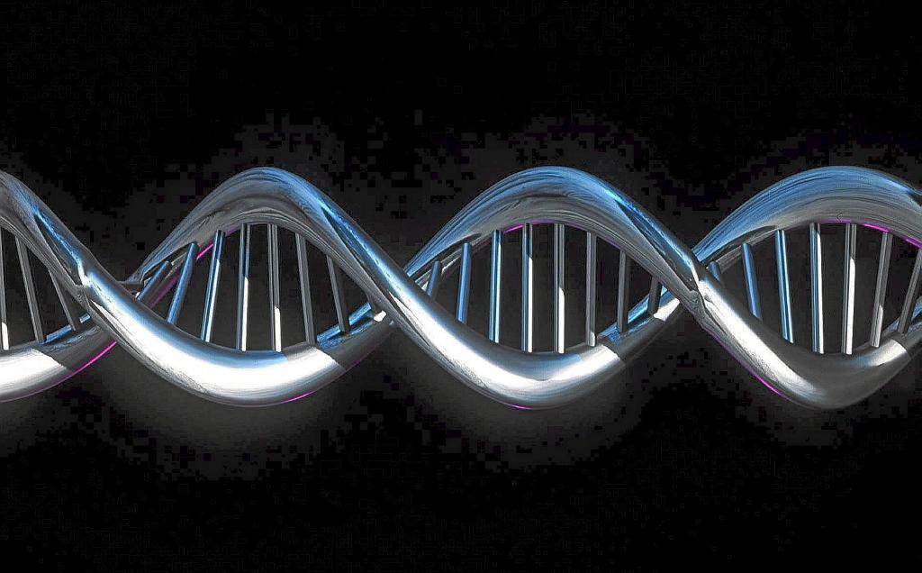 the complete sequence of the human genetic map.