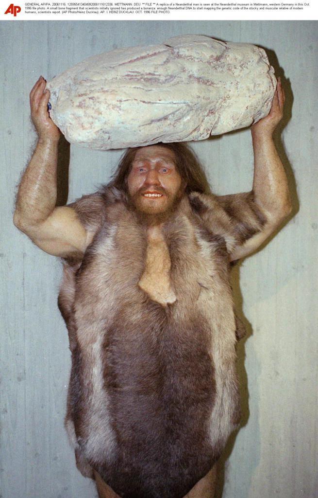 A replica of a Neanderthal man is seen at the Neanderthal museum in Mettmann,