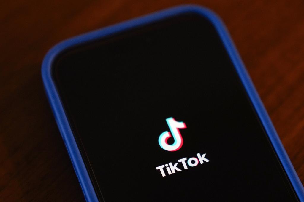 The TikTok app logo is shown on an iPhone.