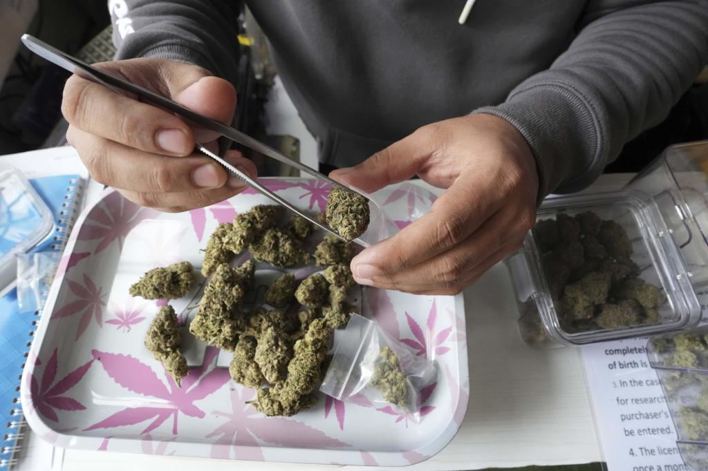 A staff prepares flower bud of marijuana for a customer at a cannabis shop