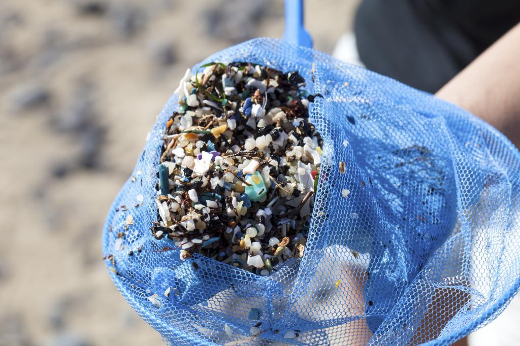 56 / 5.000
Microplastics and pellets collected in Famara, Lanzarote.