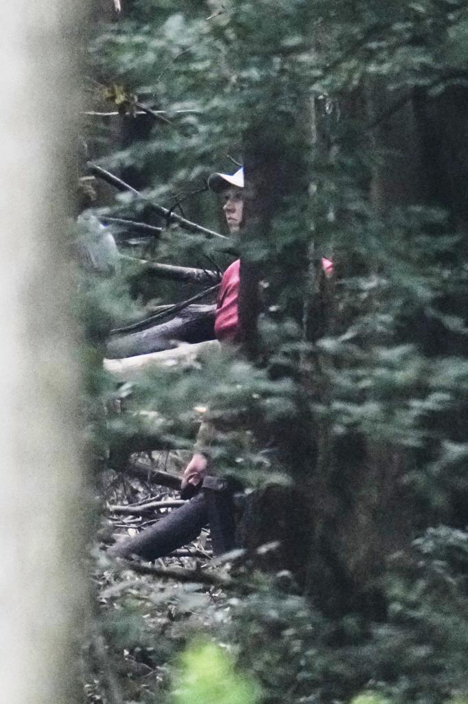 An investigator can be seen through the trees in Howland, Ohio