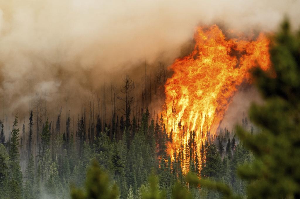 Flames from the Donnie Creek wildfire burn along a ridge top north of Fort St. John, British Columbia,