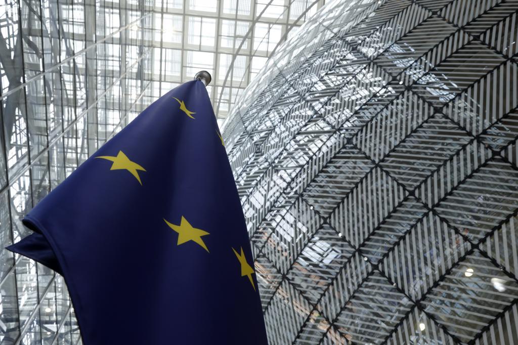 The European Union flag.