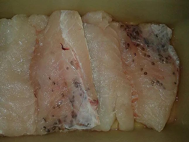 Fish with anisakis.