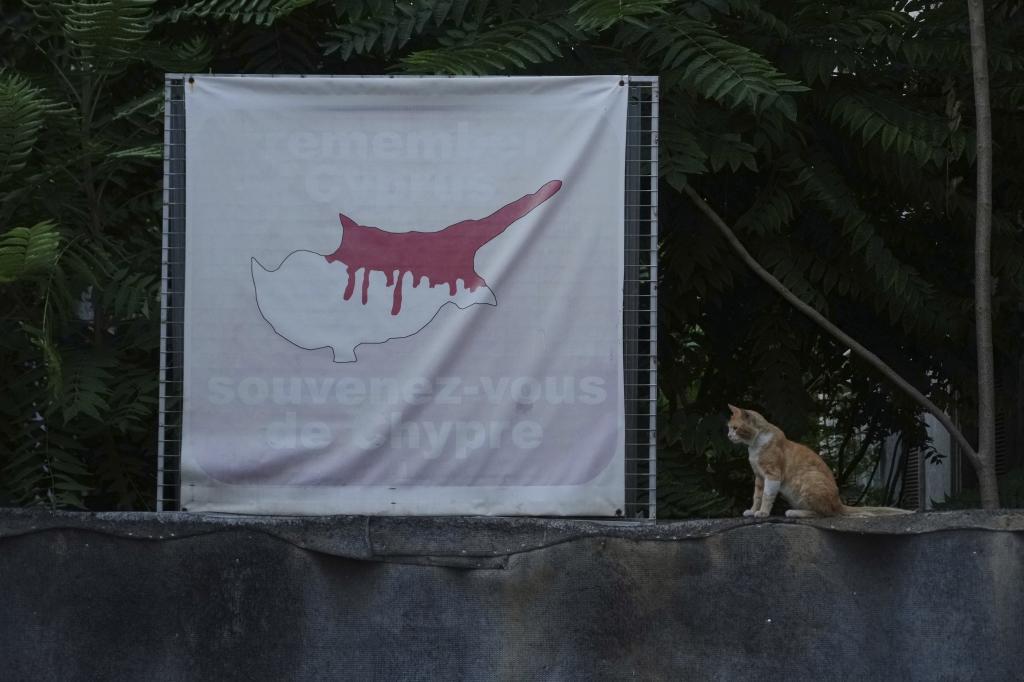 A cat sits next of a banner shows the Cyprus island divided.