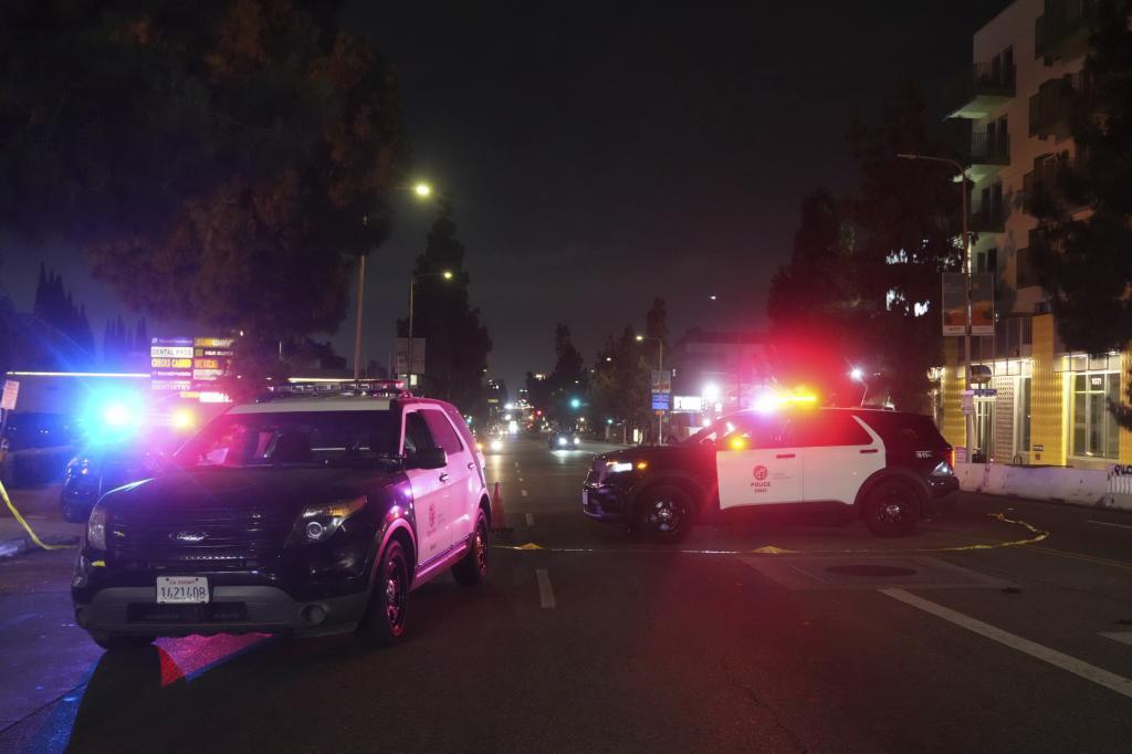Police patrol vehicles.