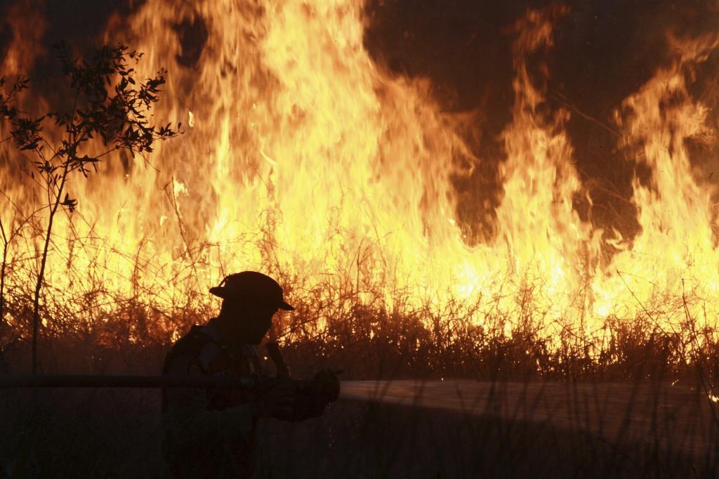 Forest fire in Malaysia.