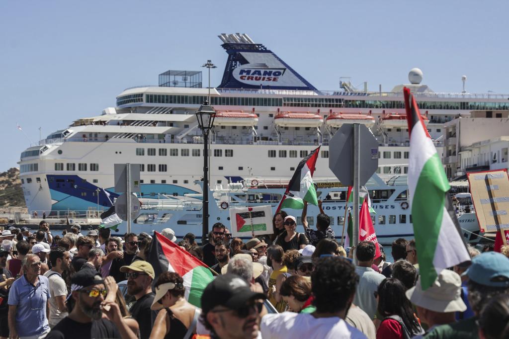 Pro-Palestinians protesters.