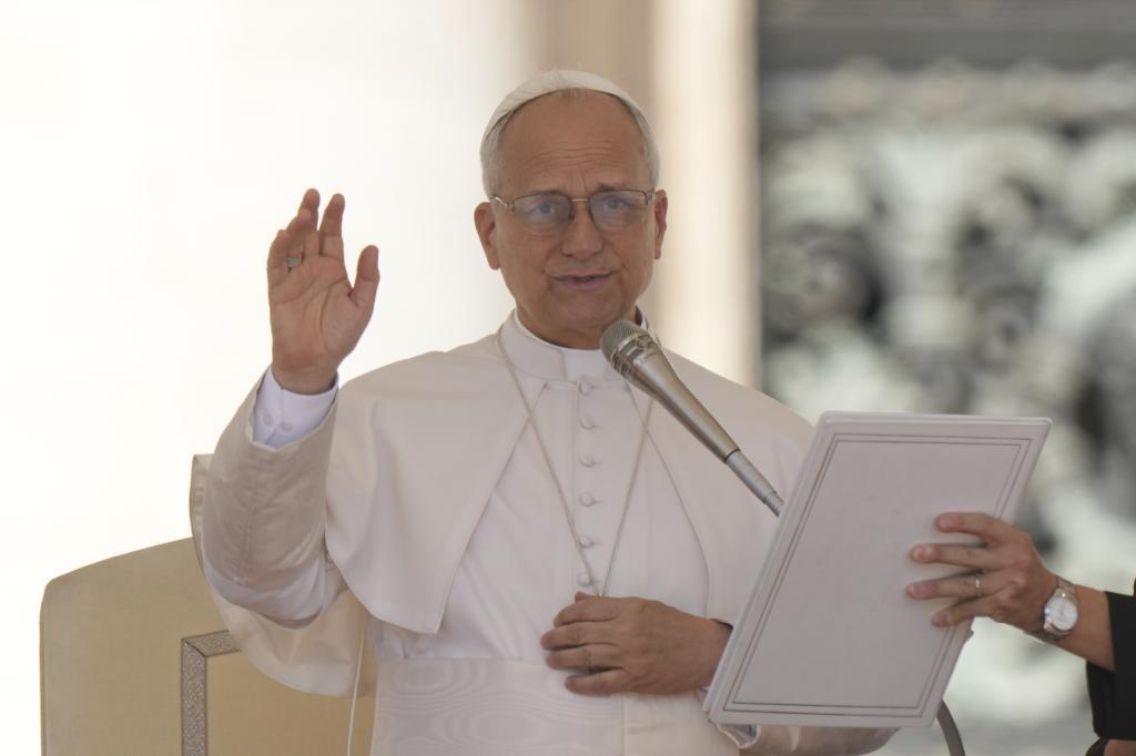 Pope Leo XIV holds his weekly general audience at the Vatican.
