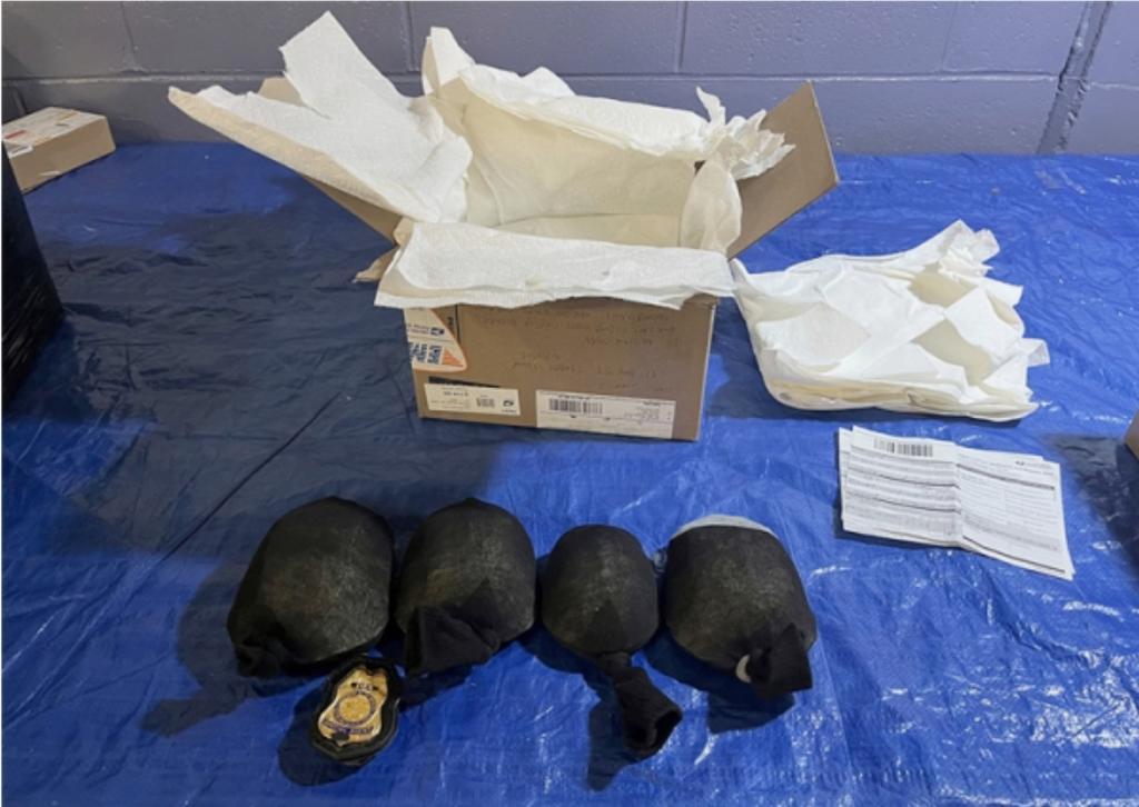 Box turtles that a New York man pleaded guilty