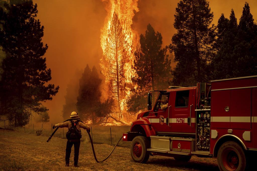 A firefighters holds a hose while battling the Oak Fire in the Jerseydale community of Mariposa County