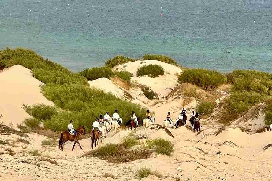 Horseback riding route through the dunes of Punta Paloma.