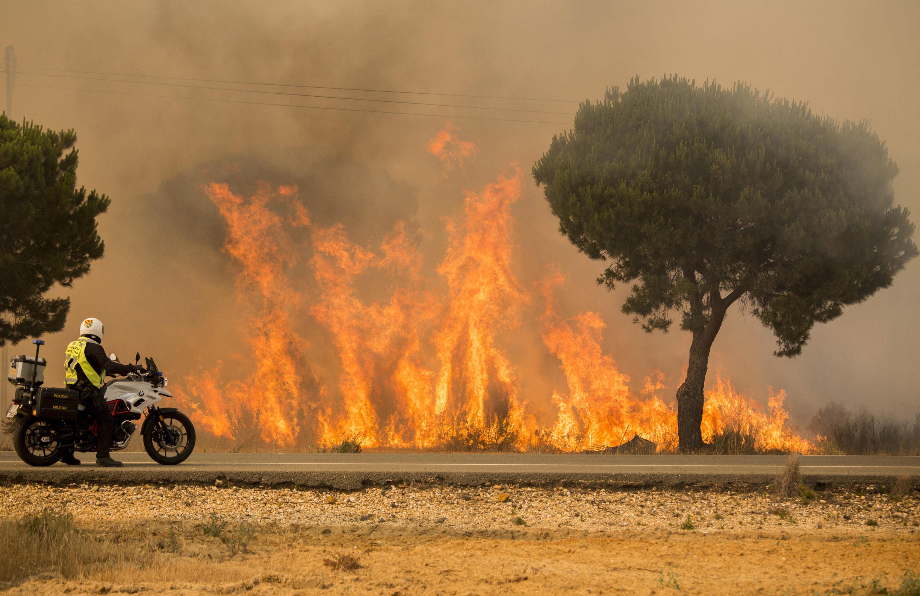 A military police next to flames from a forest in southern Spain.