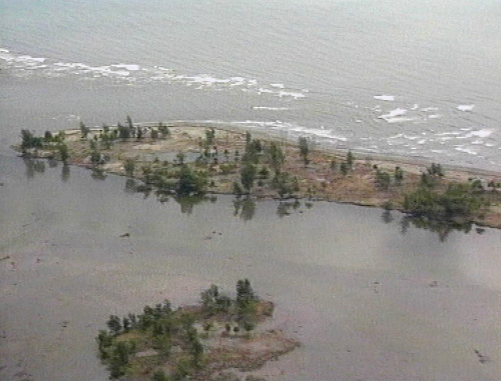 Tsunami that devastated the northern coast of Papua New Guinea in 1998.
