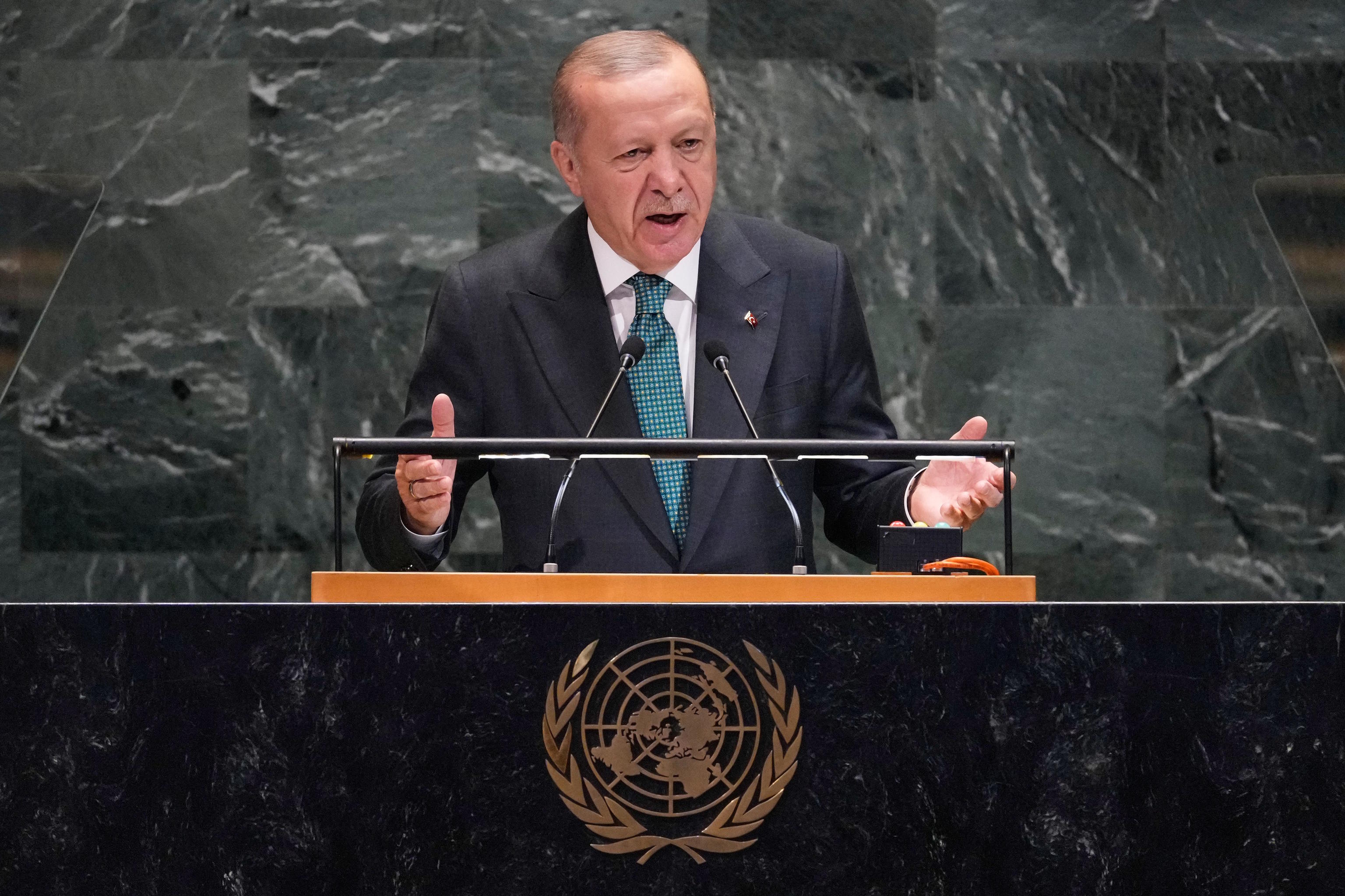 Turkiye President Recep Tayyip Erdogan.