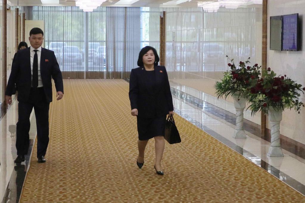 North Korean Foreign Minister Choe Son Hui.