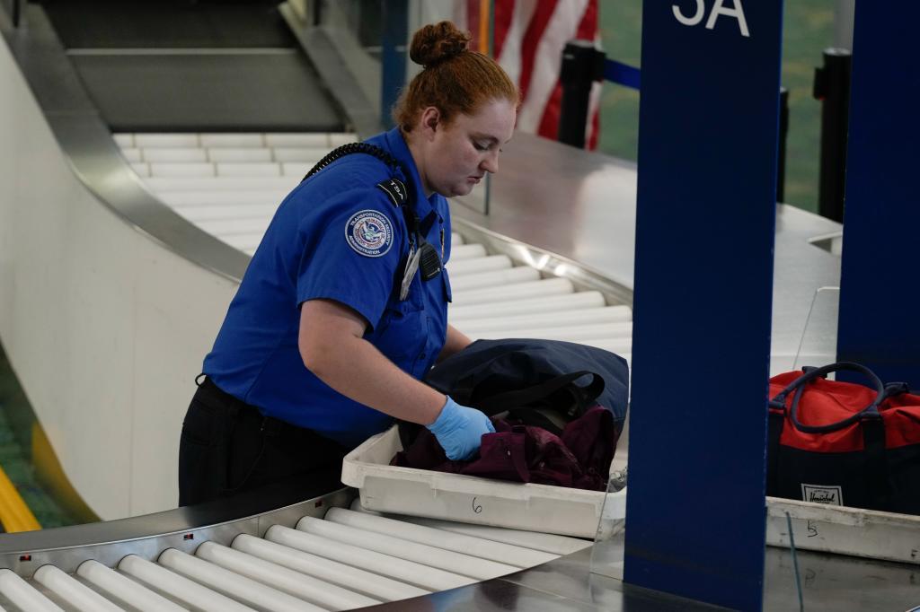 A Transportation Security Administration worker.