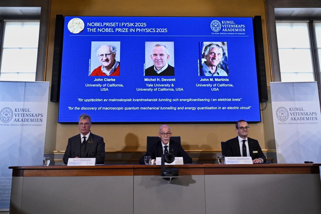 Chair of the Nobel Committee for Physics.