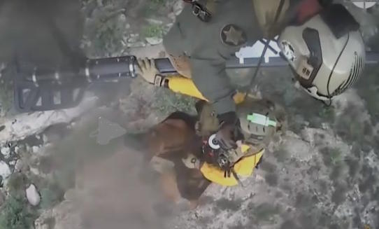 Moment a pet is rescued in Arizona.