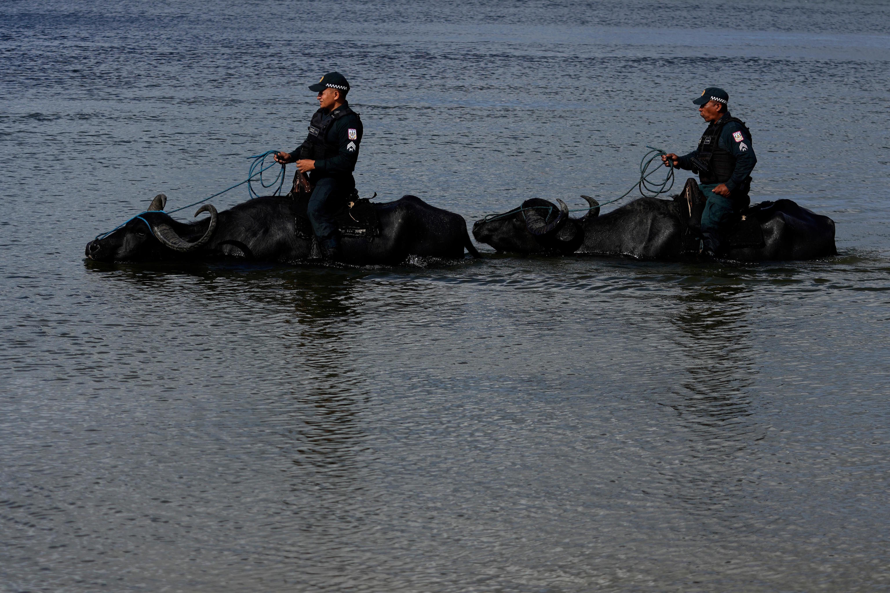 Police officers on buffaloes patrol the port of Soure, on Marajo Island, Brazil.