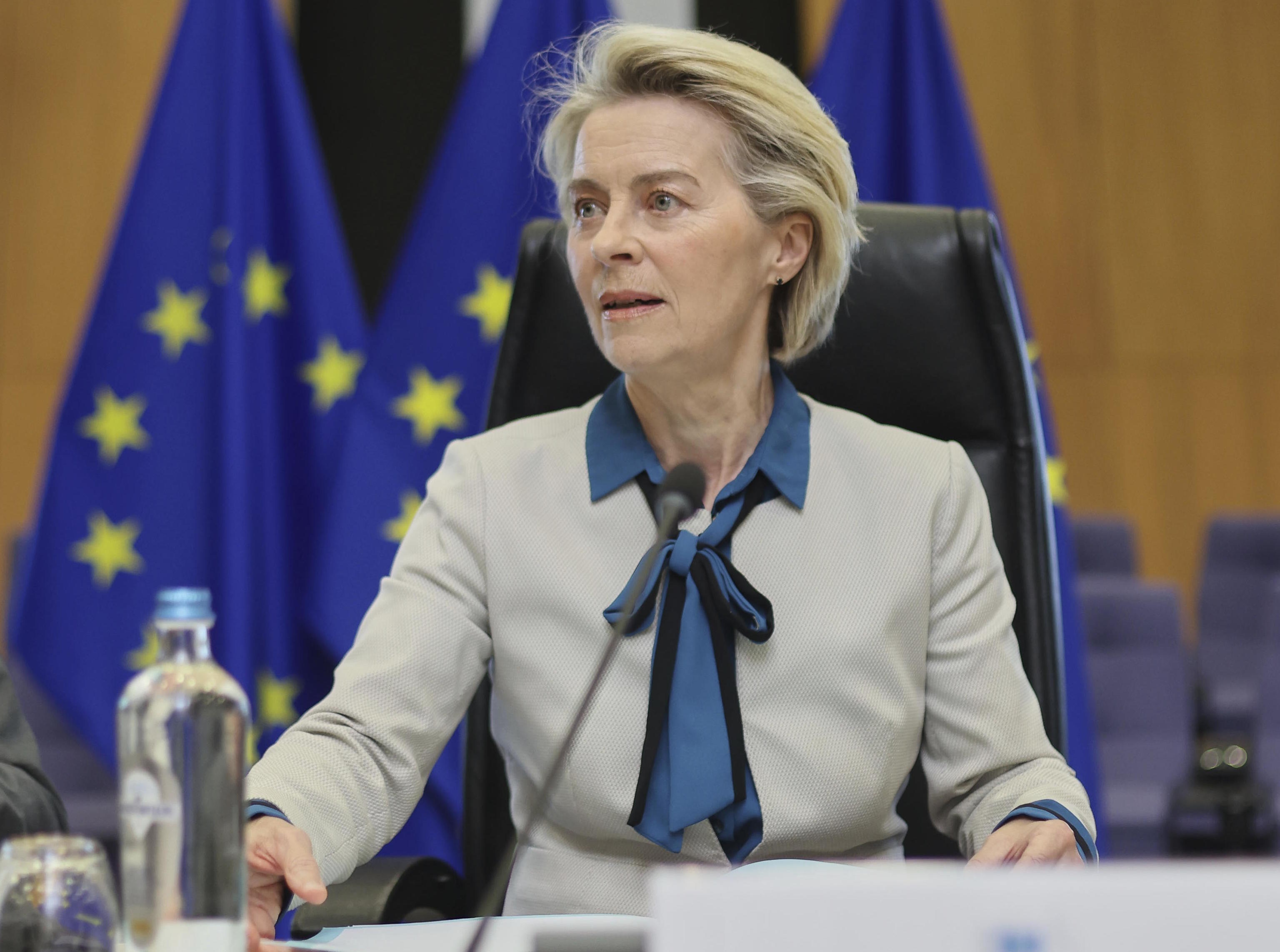 The President of the European Commission, Ursula von der Leyen.