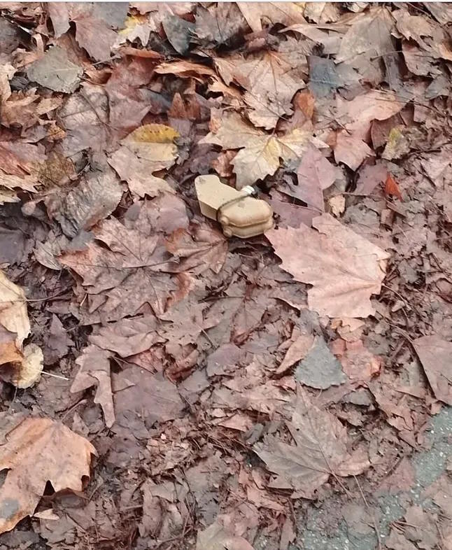 A 'petal' mine amidst the fallen leaves in Kherson.