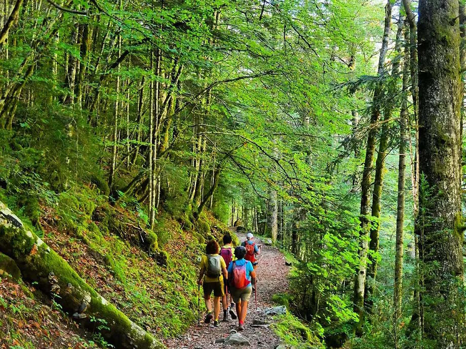 Route through the Ordesa Valley, in the Pyrenees of Huesca.