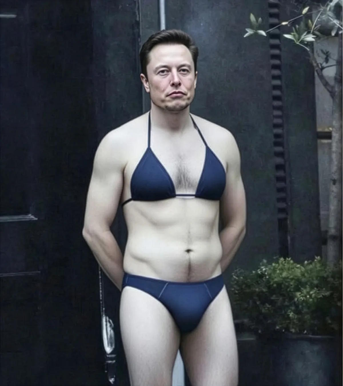 Elon Musk wearing a bikini in an AI-generated montage created by Grok.
