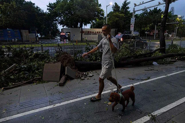 A man walks his pet on the street in Guangdong province, southern China.