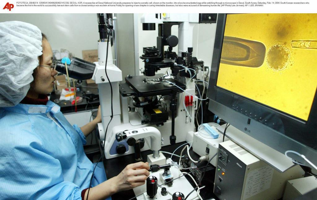 A researcher at Seoul University investigates cloning with a microscope.