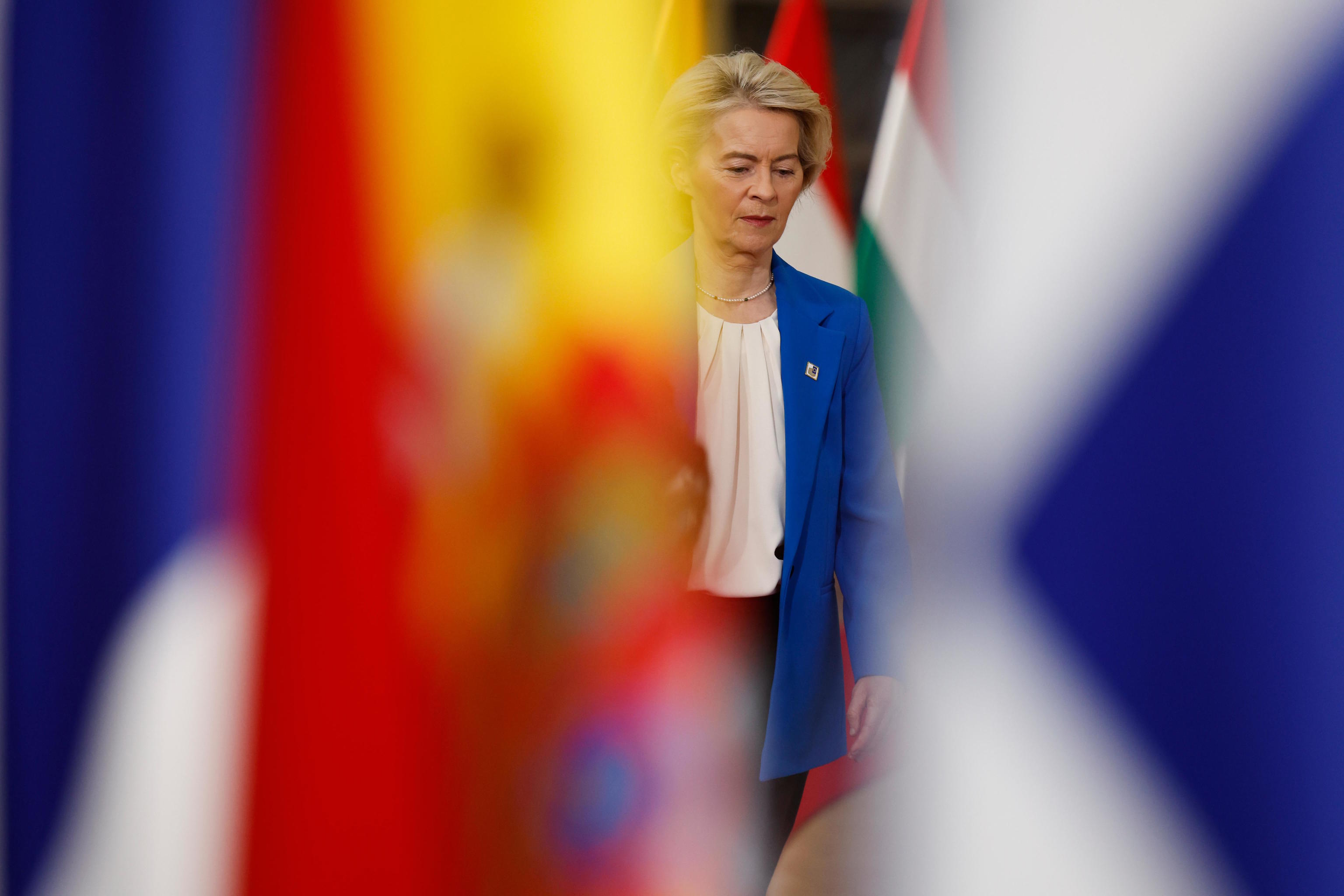 The President of the European Commission, Ursula von der Leyen.