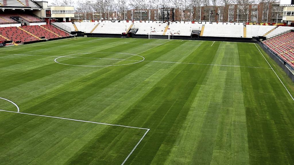 Video capture of the condition of the grass in Vallecas