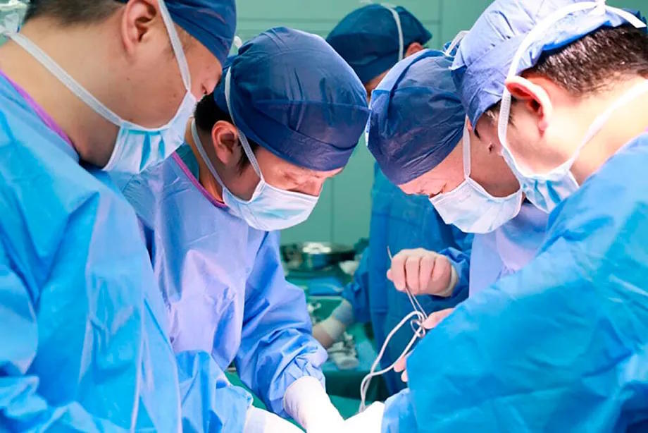 Surgeons work on a genetically modified pig liver.