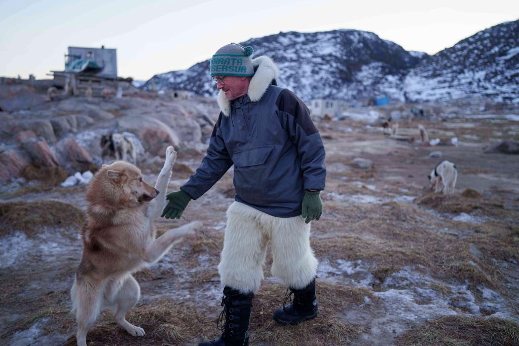 J�rgen Kristensen pets his sled dog before a ride in Ilulissat, Greenland
