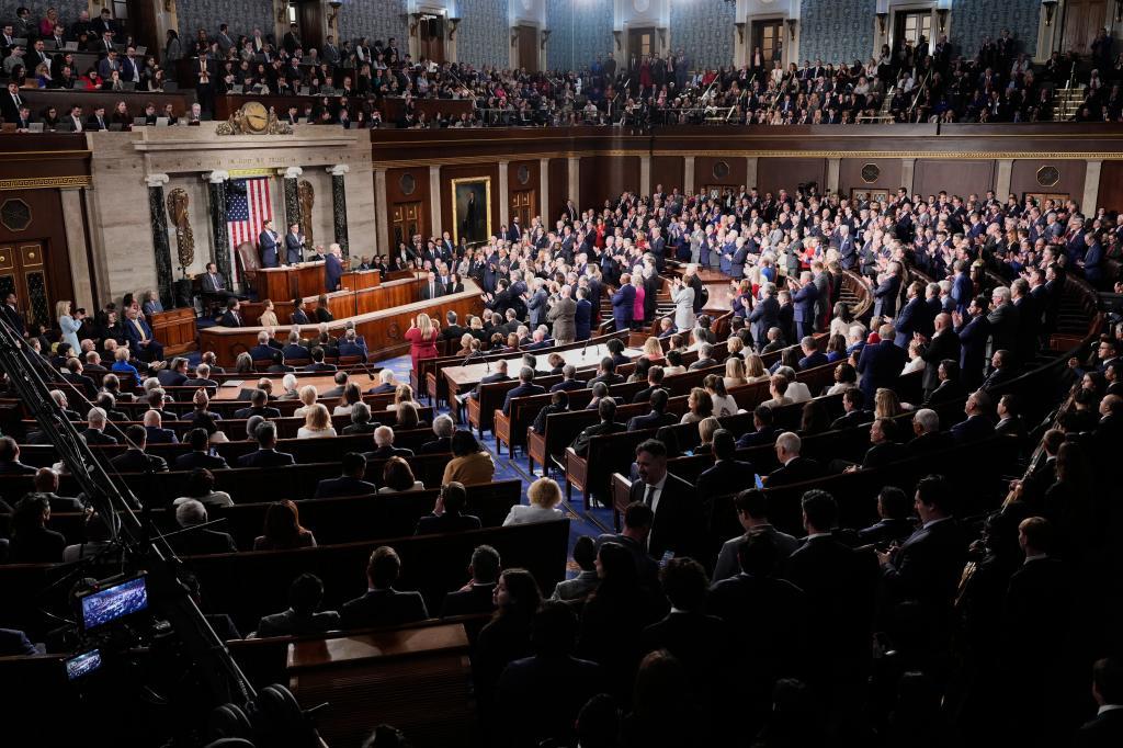 Republican members of Congress stand while Democrats keep their seats during President Donald Trump's State of the Union address