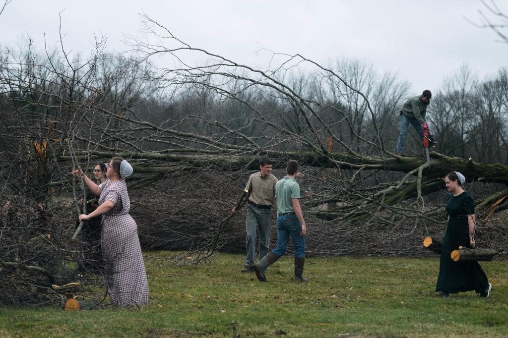 Volunteers work to clear branches and felled trees after a suspected tornado hit the area a day earlier