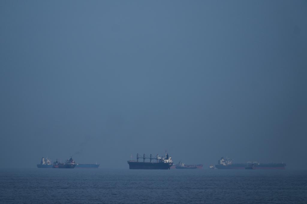 Oil tankers and cargo ships line up in the Strait of Hormuz