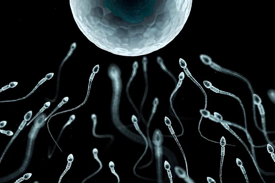 Semen quality is deteriorating throughout the animal kingdom.