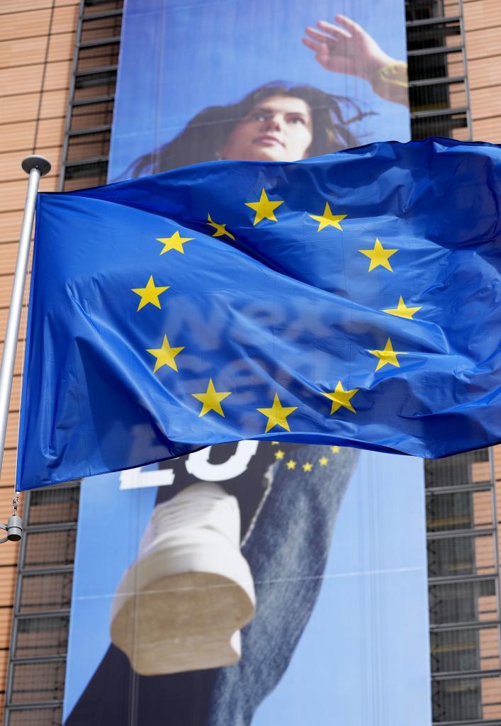 The European Union flag.