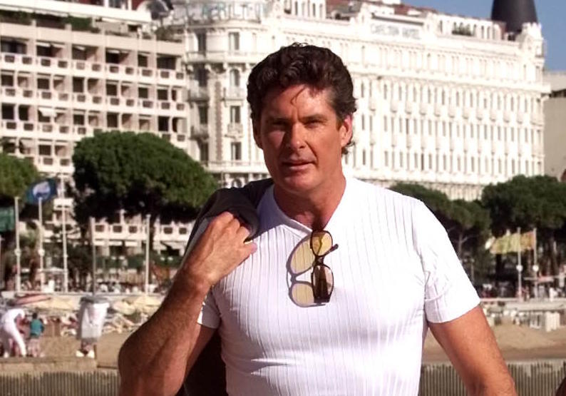 Actor David Hasselhoff.