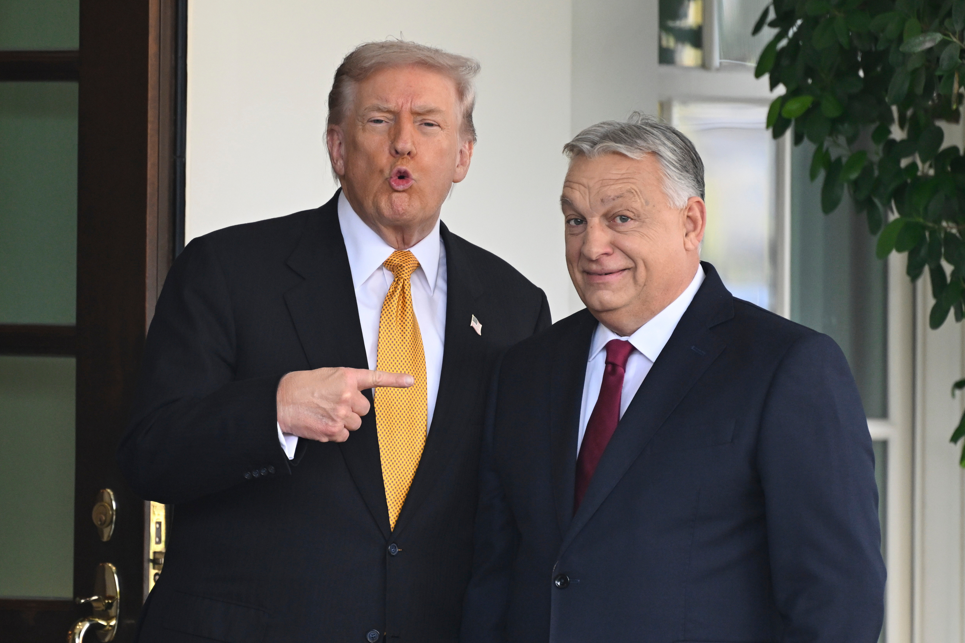 President Donald Trump, left, greets Hungary's Prime Minister Viktor Orban.