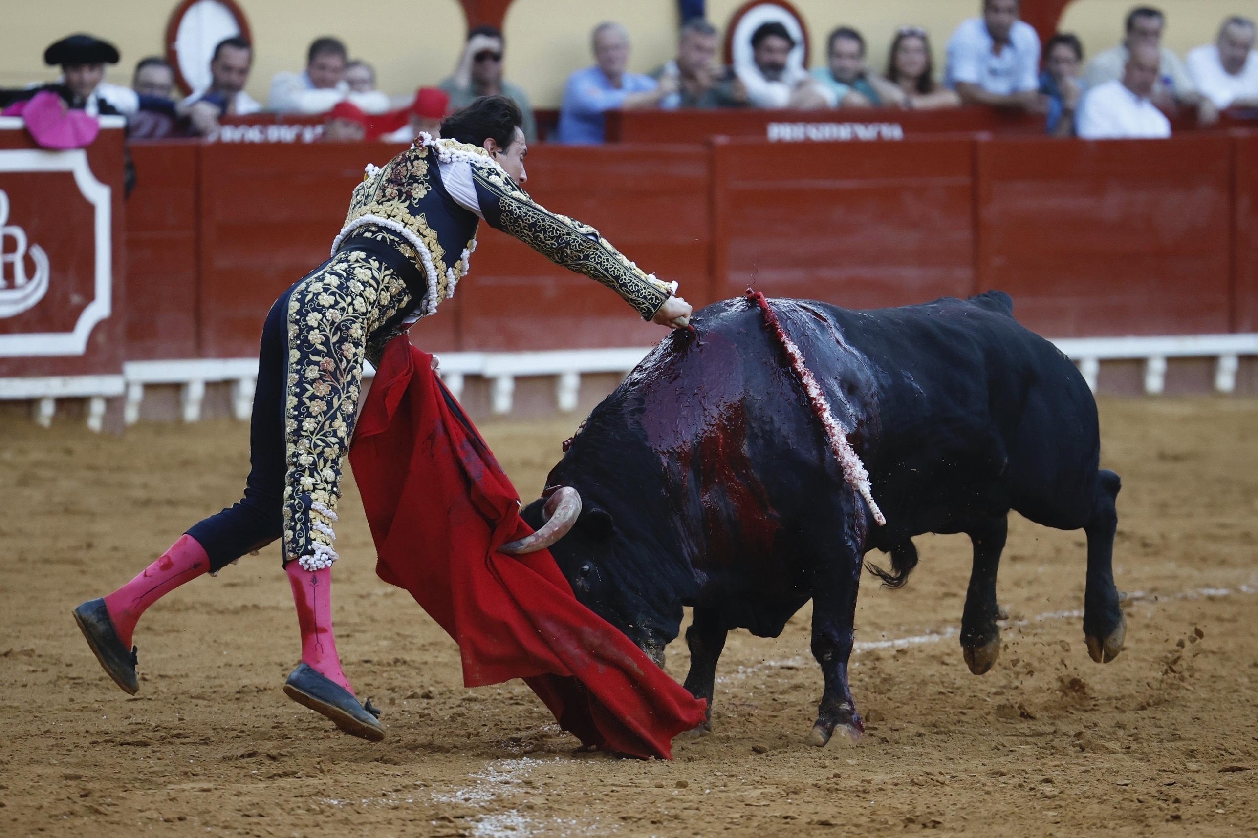The Peruvian bullfighter in 2025.