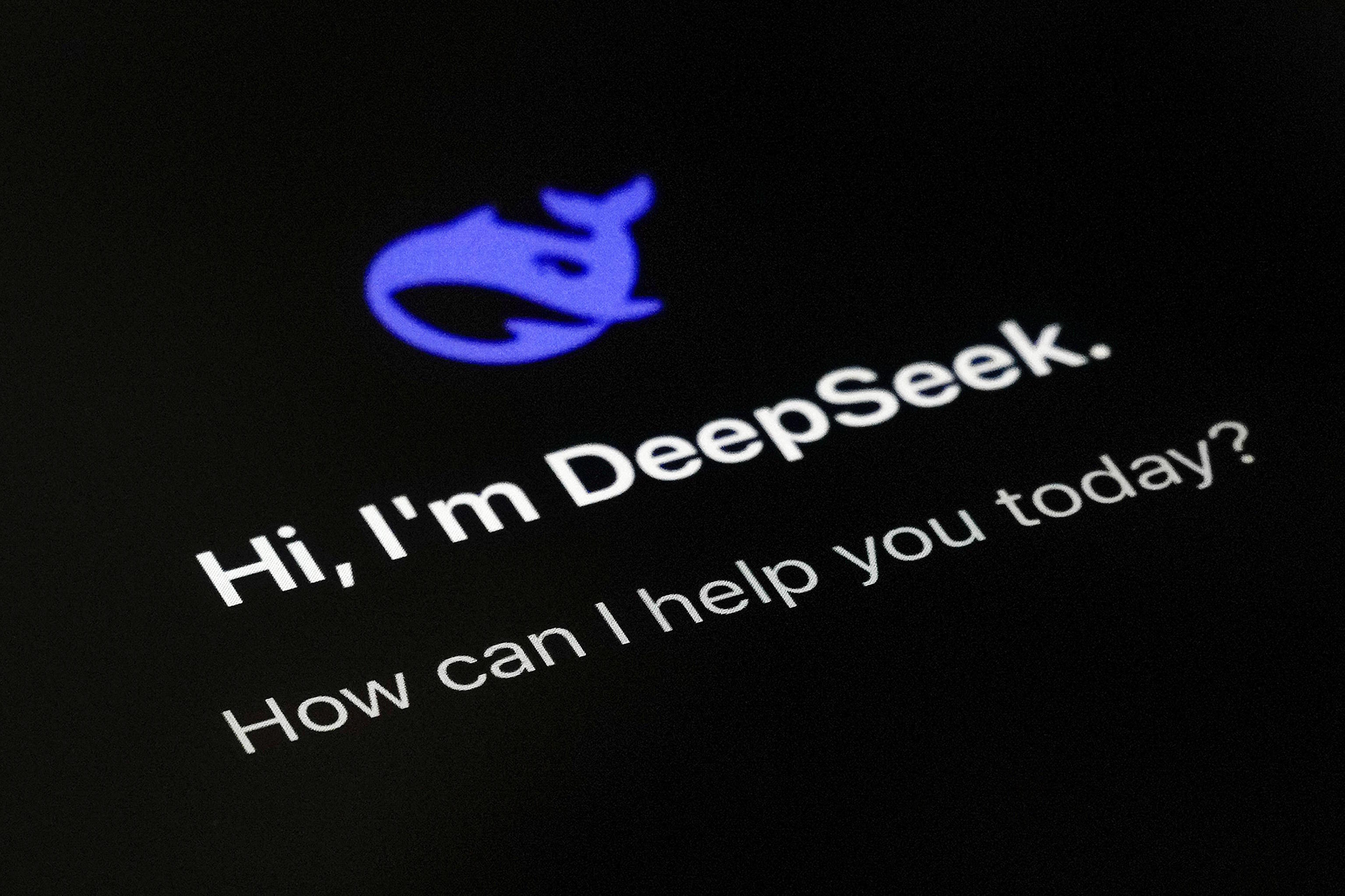 The DeepSeek app home screen as seen on a smartphone screen.