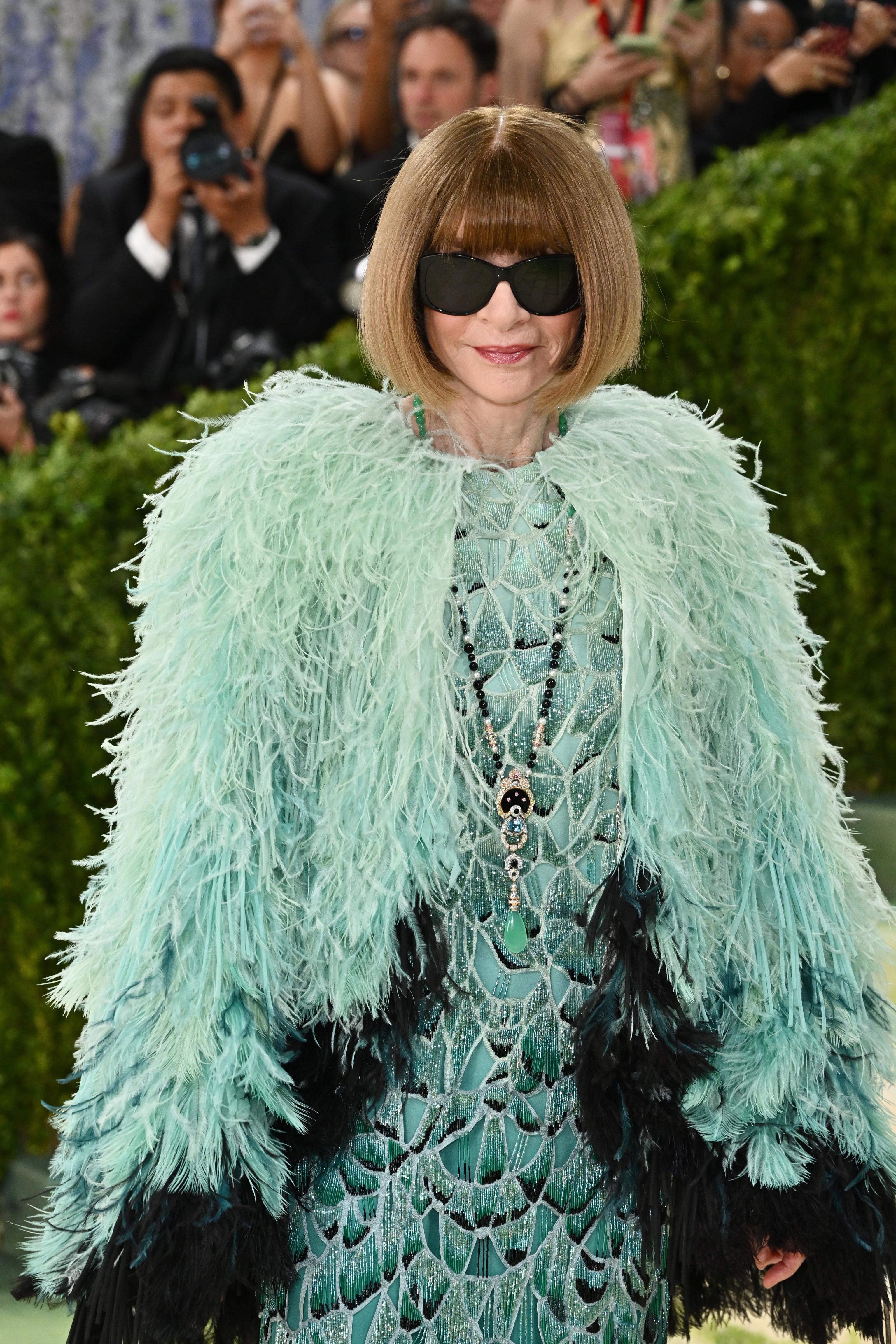 Anna Wintour arrives at The Metropolitan Museum of Art's.