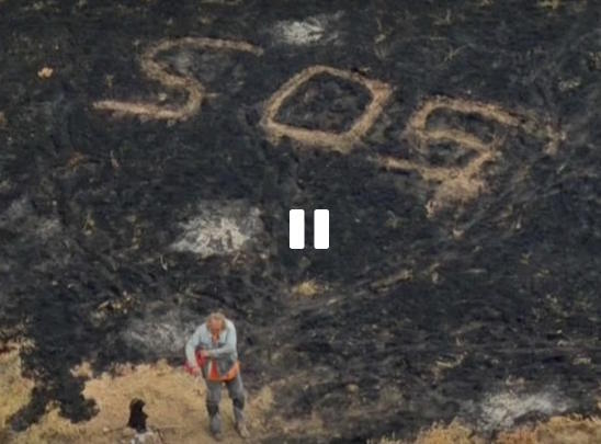 Rescued castaway who wrote "SOS" in the ashes of a burning island.